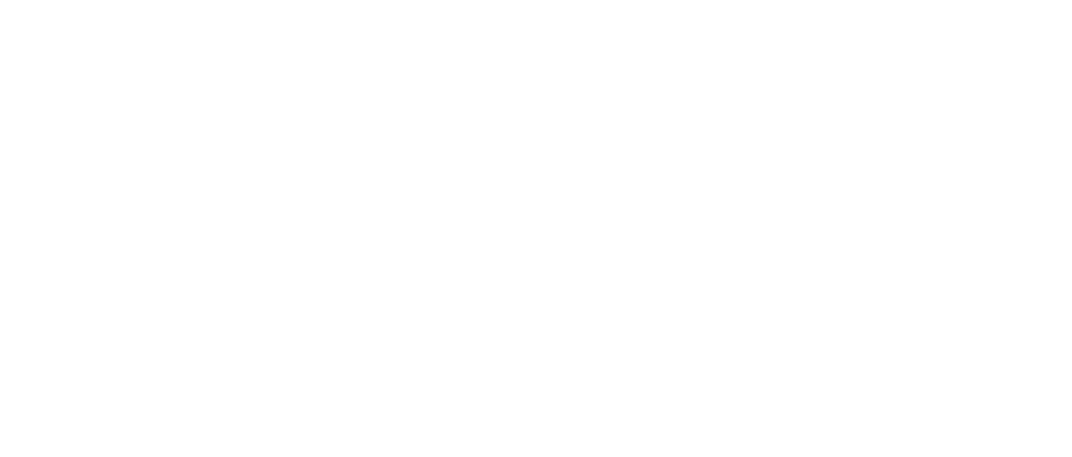 Network Consulting